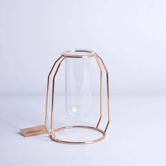 Hydroponische Vase aus Glas, Draht, Metall, geometrische Schmiedeeisenvase