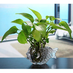 Table Decoration Aquatic Green Dill Hydroponics Creative