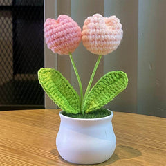 Plantes en pot Linglan tissées à la main finies