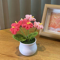 Plantes en pot Linglan tissées à la main finies