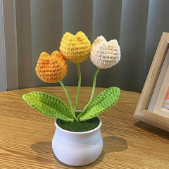 Plantes en pot Linglan tissées à la main finies
