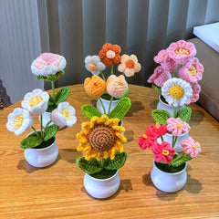 Plantes en pot Linglan tissées à la main finies
