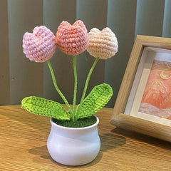 Plantes en pot Linglan tissées à la main finies