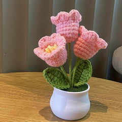 Plantes en pot Linglan tissées à la main finies