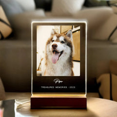 Plaque commémorative personnalisée pour animaux de compagnie