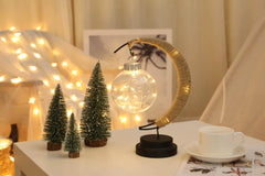 LED moon ball shape lamp girl heart wishing ball