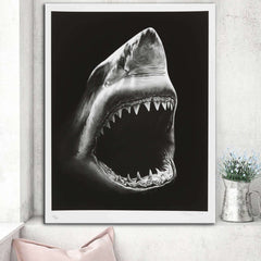 Peinture sur toile moderne Peinture sur toile de requin