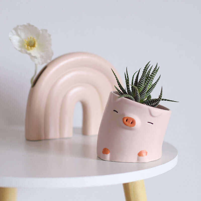 Creative Cartoon Animal Succulent Plant Small Flower Pot