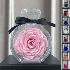 Natürliche ewige Blumenornamente, transparente Abdeckung, getrocknete Rose, Geschenkbox für Weihnachten, Neujahr, Valentinstag, Heimdekoration