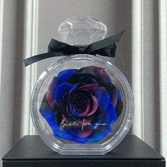 Natürliche ewige Blumenornamente, transparente Abdeckung, getrocknete Rose, Geschenkbox für Weihnachten, Neujahr, Valentinstag, Heimdekoration