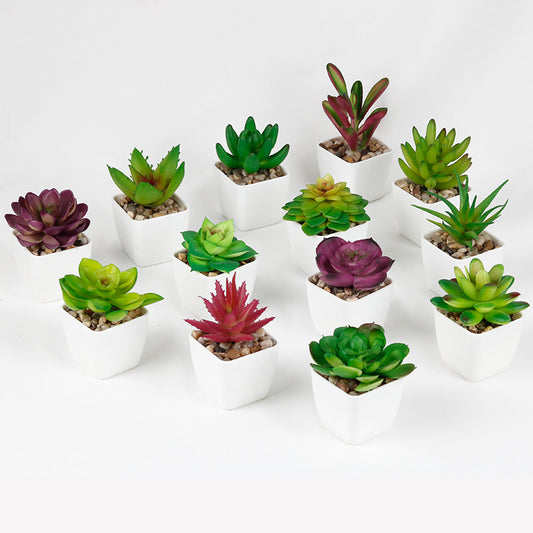 Plante succulente artificielle en plastique Mini pot Décoration de bureau