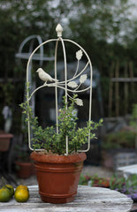 Cage à oiseaux pliante en fer avec cadre en vigne grimpante, support décoratif pour balcon et fleurs