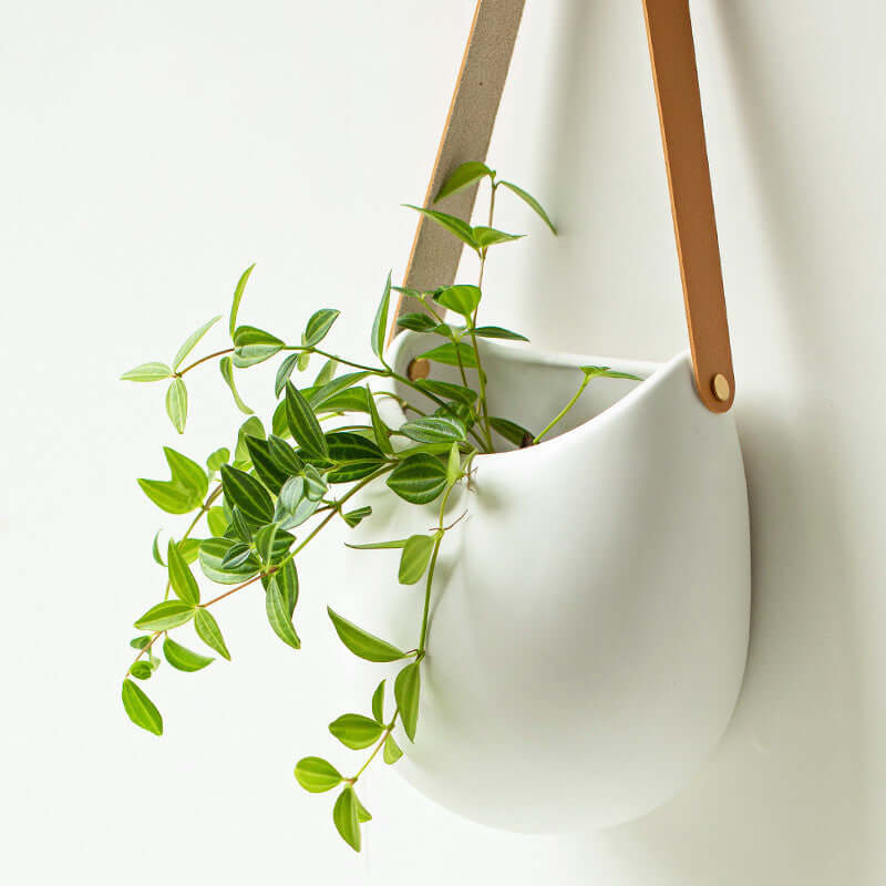 Punch-free Creative Ceramic Wall Hanging Vase