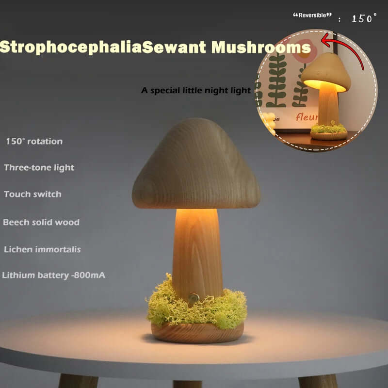 Lampe LED en forme de champignon torsadé, lumière chaude tactile, tête de lit pour chambre à coucher, en bois de hêtre, USB, lampes d'ambiance décoratives, décoration de la maison