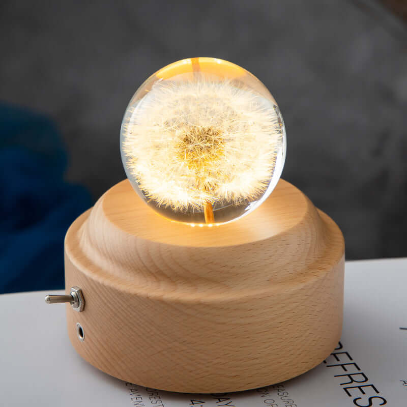 LED veilleuse fleur boule de cristal enfants lampe de nuit avec Base en bois chambre lumière ambiante cadeau créatif veilleuse